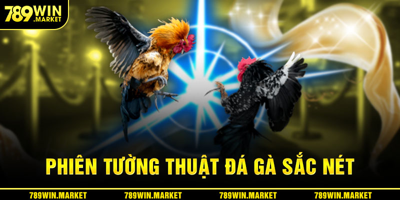 Phiên tường thuật đá gà sắc nét